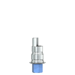 SIC Bonding Base CAD/CAM, universal, for angulated screw channel
