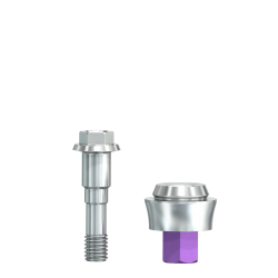 SIC Multi Unit Abutment "Universal 4,8" Ø 4,2 mm, gerade, GH 2,0 mm