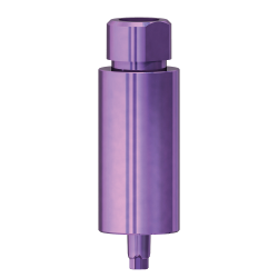 SICvantage Milling Blanks CAD/CAM, Ø2.9, A-Line