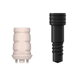 SICwhite Prov. Abutment SB, incl. Screw