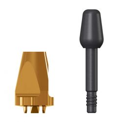 SICwhite Transfer Abutment WB, reposition, short