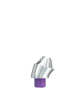SIC Multi Unit Abutment "Universal 4,8" Ø 4,2 mm, 17° angle, GH 3,0 mm (incl. SIC Fixation Screw, short)