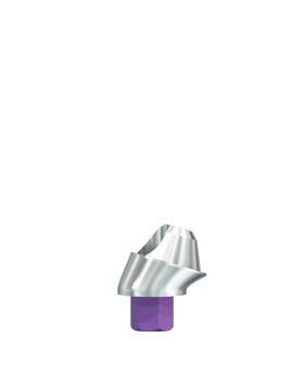 SIC Multi Unit Abutment "Universal 4,8" Ø 4,2 mm, 17° angle, GH 2,0 mm (incl. SIC Fixation Screw, short)